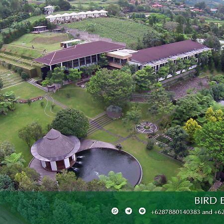 Amaryllis Boutique Resort Paragajen Esterno foto