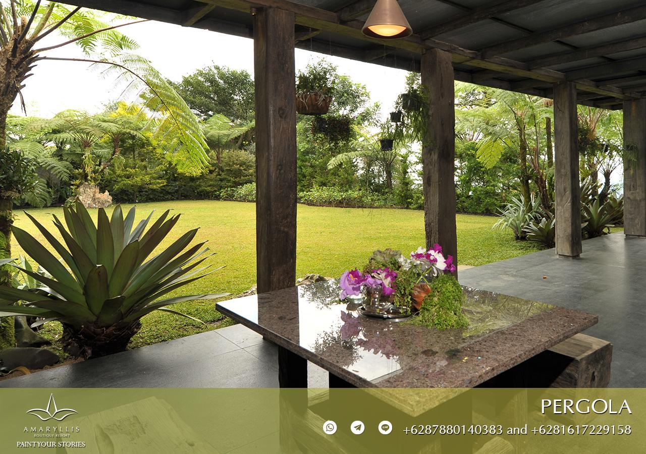 Amaryllis Boutique Resort Paragajen Esterno foto